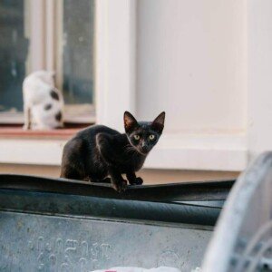 Συγκέντρωση χρημάτων για την αποκατάσταση του μνημείου